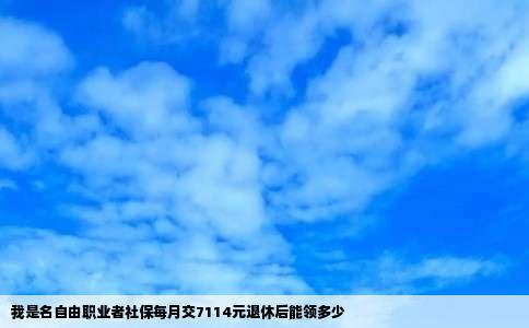 我是名自由职业者社保每月交7114元退休后能领多少