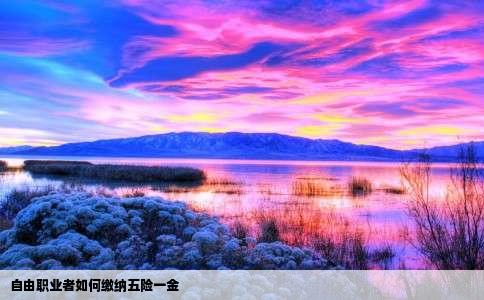 自由职业者如何缴纳五险一金