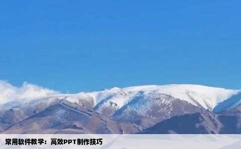 常用软件教学：高效PPT制作技巧