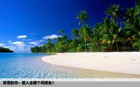 常用软件：输入法哪个词库全？