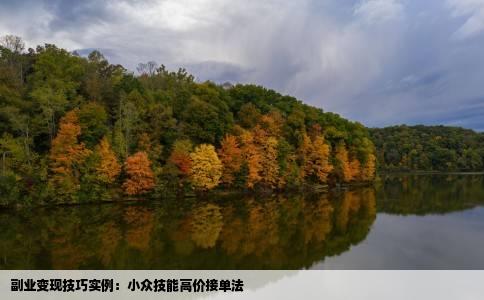副业变现技巧实例：小众技能高价接单法