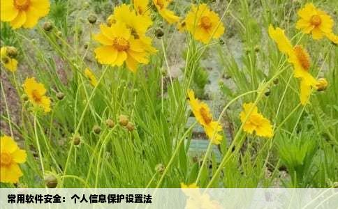 常用软件安全：个人信息保护设置法