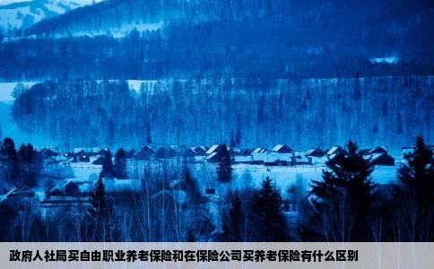 政府人社局买自由职业养老保险和在保险公司买养老保险有什么区别