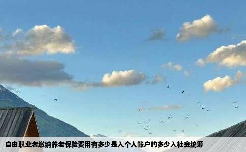 自由职业者缴纳养老保险费用有多少是入个人帐户的多少入社会统筹