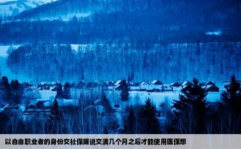以自由职业者的身份交社保据说交满几个月之后才能使用医保想