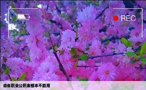 自由职业公积金根本不能用