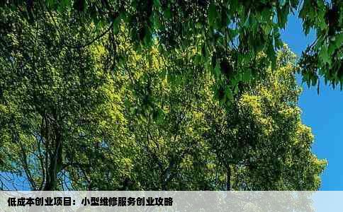 低成本创业项目：小型维修服务创业攻略