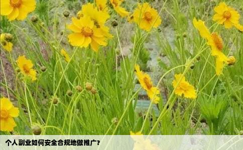 个人副业如何安全合规地做推广？