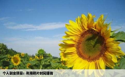 个人副业项目：利用碎片时间赚钱