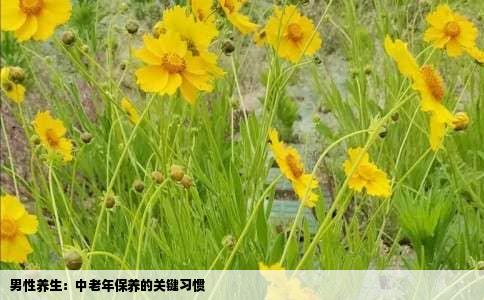 男性养生：中老年保养的关键习惯