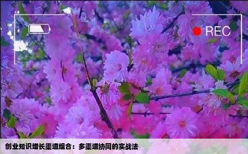 创业知识增长渠道组合：多渠道协同的实战法