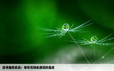 探寻商机机会：老年市场未满足的需求
