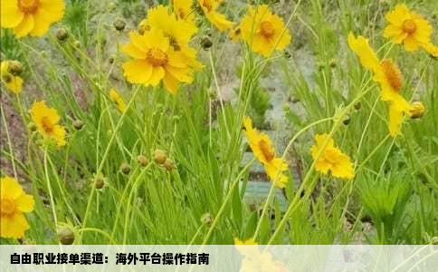 自由职业接单渠道：海外平台操作指南