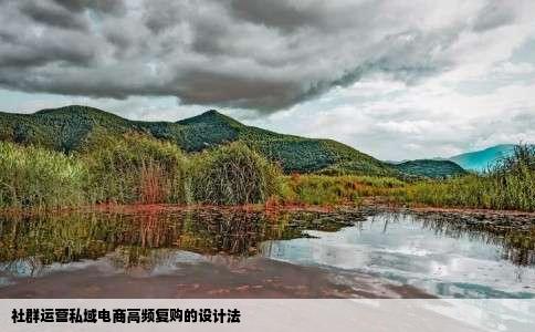 社群运营私域电商高频复购的设计法