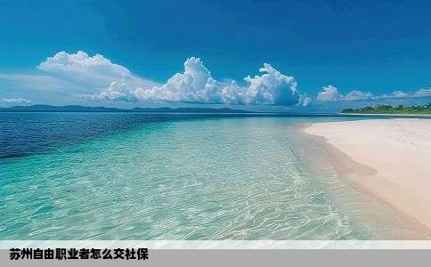 苏州自由职业者怎么交社保