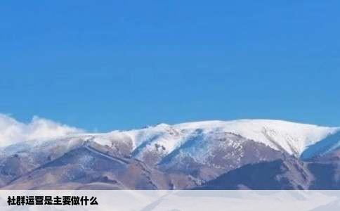 社群运营是主要做什么