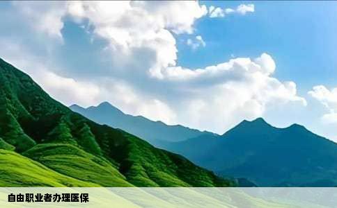 自由职业者办理医保