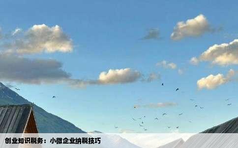 创业知识税务：小微企业纳税技巧