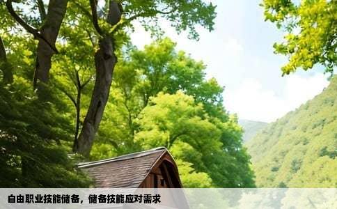 自由职业技能储备，储备技能应对需求