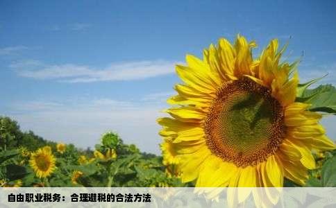 自由职业税务：合理避税的合法方法