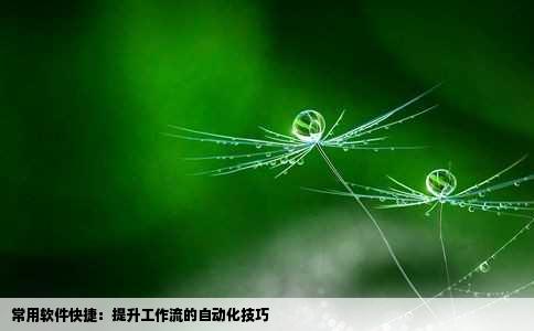 常用软件快捷：提升工作流的自动化技巧