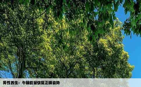 男性养生：午睡能量恢复正确姿势