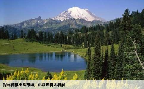 探寻商机小众市场，小众也有大利润