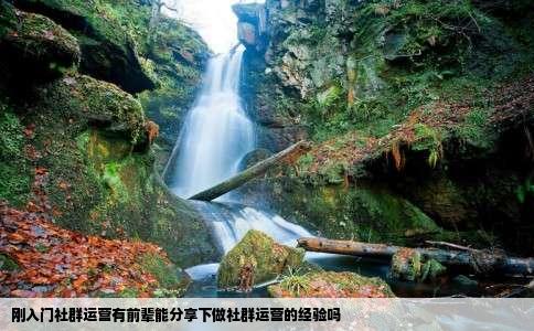 刚入门社群运营有前辈能分享下做社群运营的经验吗