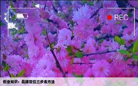 创业知识：品牌定位三步走方法