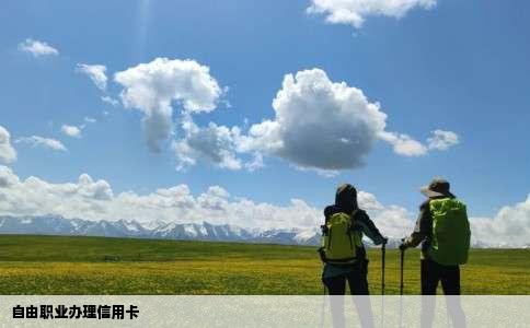 自由职业办理信用卡
