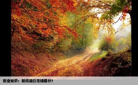 创业知识：如何进行市场细分？