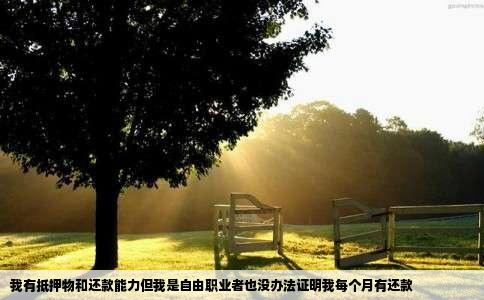 我有抵押物和还款能力但我是自由职业者也没办法证明我每个月有还款