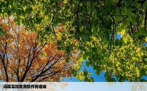 远程监控常用软件有哪些