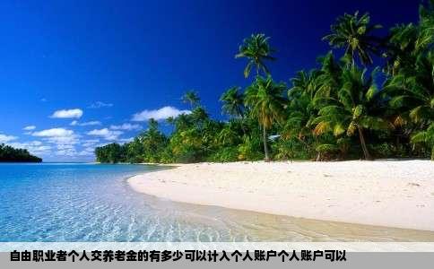 自由职业者个人交养老金的有多少可以计入个人账户个人账户可以