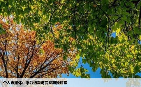 个人自媒体：平台选题与变现路径对接
