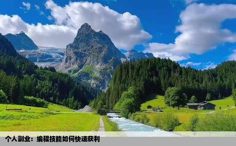 个人副业：编程技能如何快速获利