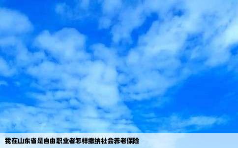 我在山东省是自由职业者怎样缴纳社会养老保险