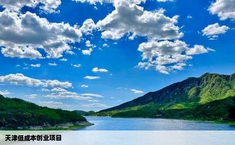 天津低成本创业项目