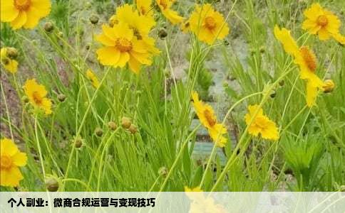 个人副业：微商合规运营与变现技巧