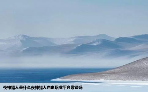 夜神猎人是什么夜神猎人自由职业平台靠谱吗