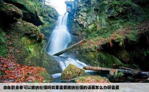 自由职业者可以缴纳社保吗如果需要缴纳社保的话要怎么办呀需要