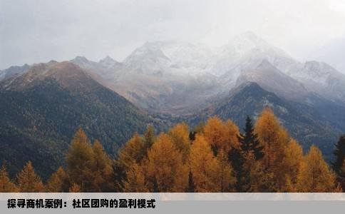 探寻商机案例：社区团购的盈利模式