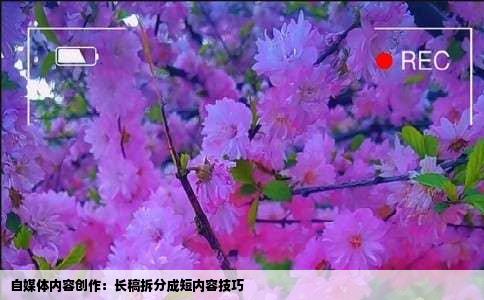 自媒体内容创作：长稿拆分成短内容技巧