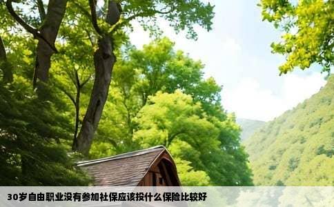 30岁自由职业没有参加社保应该投什么保险比较好
