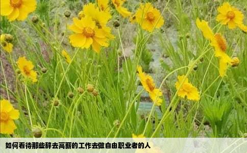 如何看待那些辞去高薪的工作去做自由职业者的人