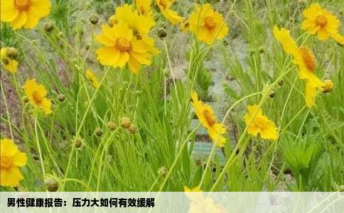 男性健康报告：压力大如何有效缓解