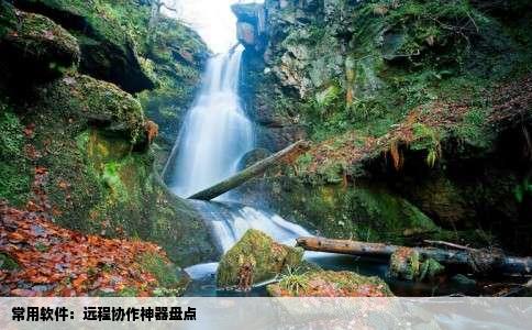 常用软件：远程协作神器盘点