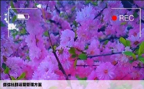 微信社群运营管理方案