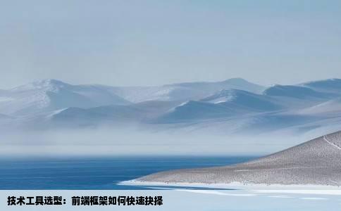 技术工具选型：前端框架如何快速抉择