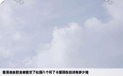 我是自由职业者我交了社保八个月了卡里现在应该有多少钱